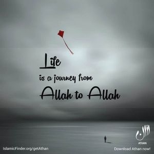 Meet your Posher, Sadia